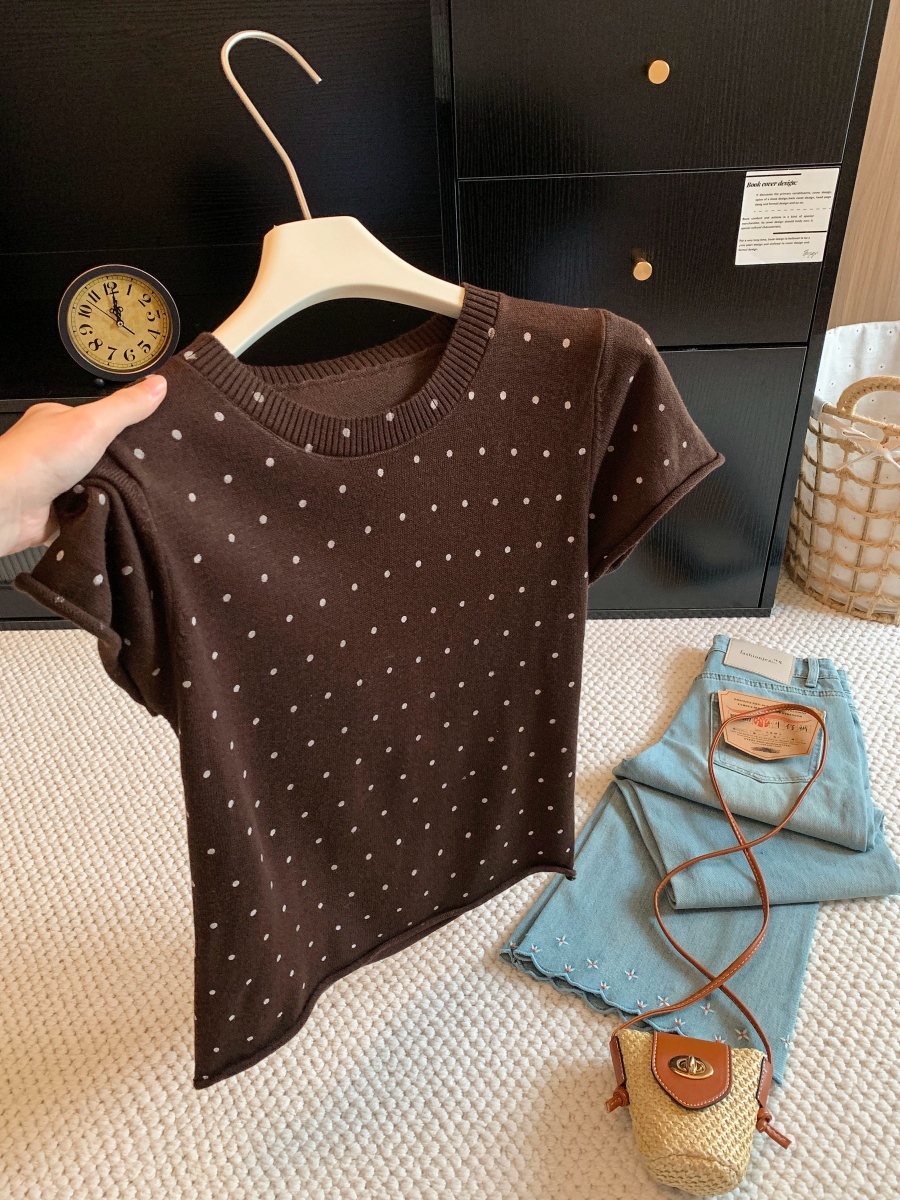 Soft Skin-Friendly Polka Dot Print Round Neck Knit Short Sleeve T-Shirt 2026 Early Autumn Casual Pullover Top