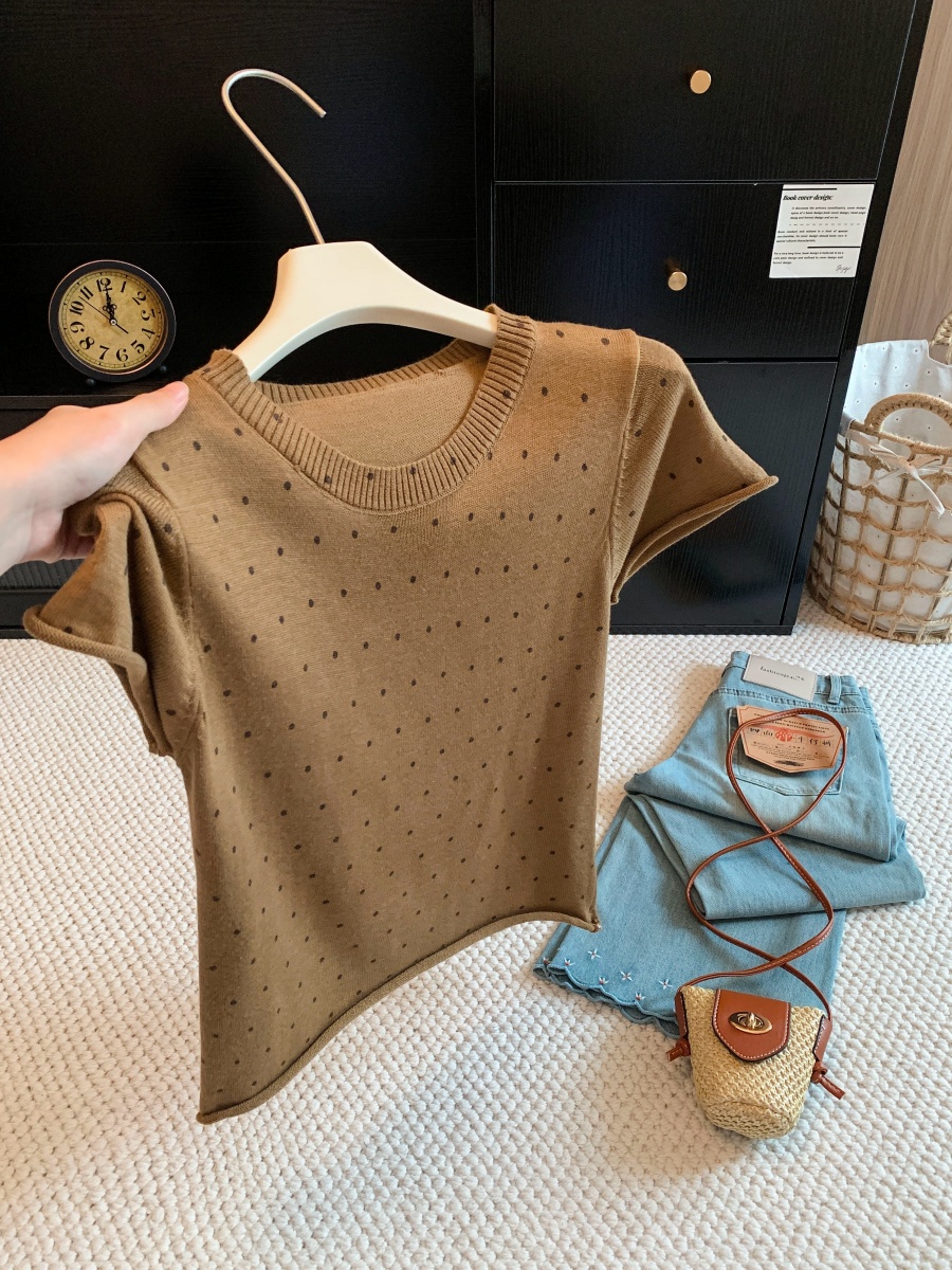 Soft Skin-Friendly Polka Dot Print Round Neck Knit Short Sleeve T-Shirt 2026 Early Autumn Casual Pullover Top - Image 4
